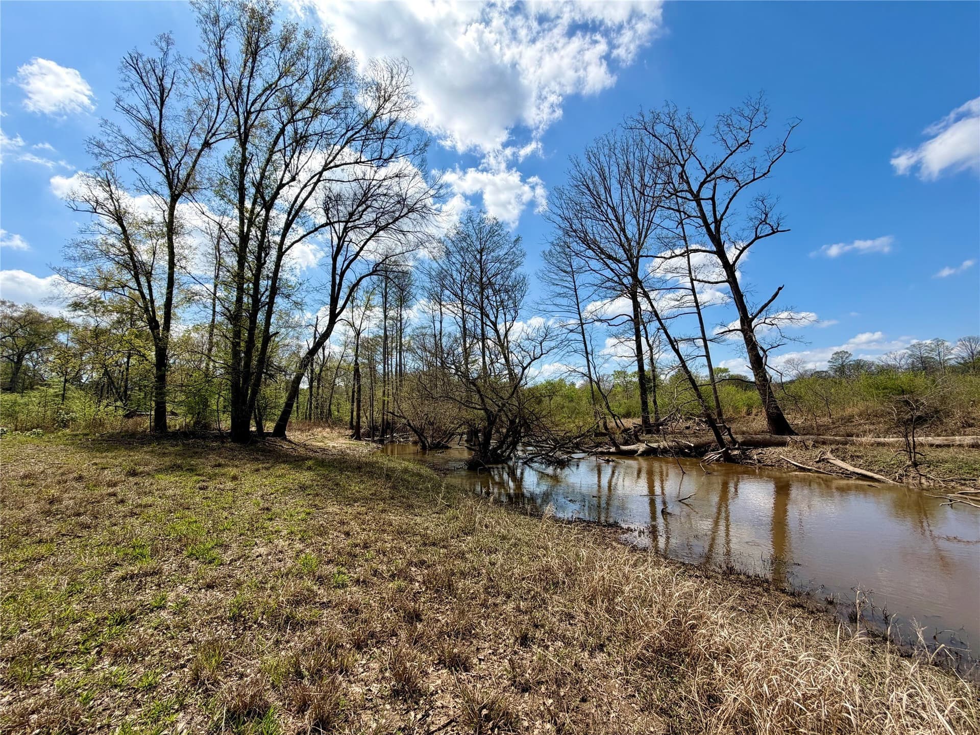 159.7 acres in Harrison County - photo 39