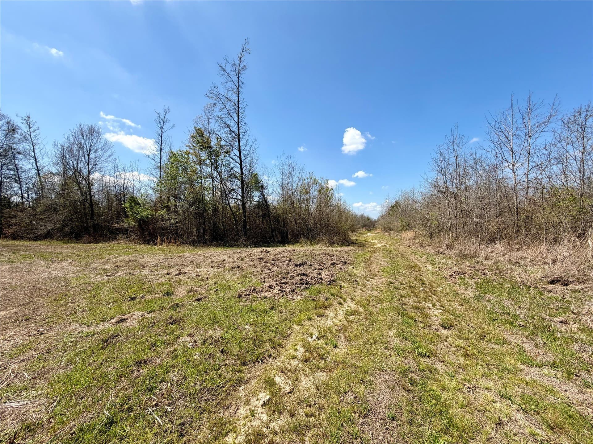 159.7 acres in Harrison County - photo 23