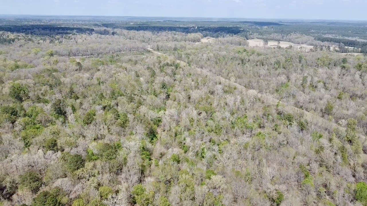 159.7 acres in Harrison County - photo 13
