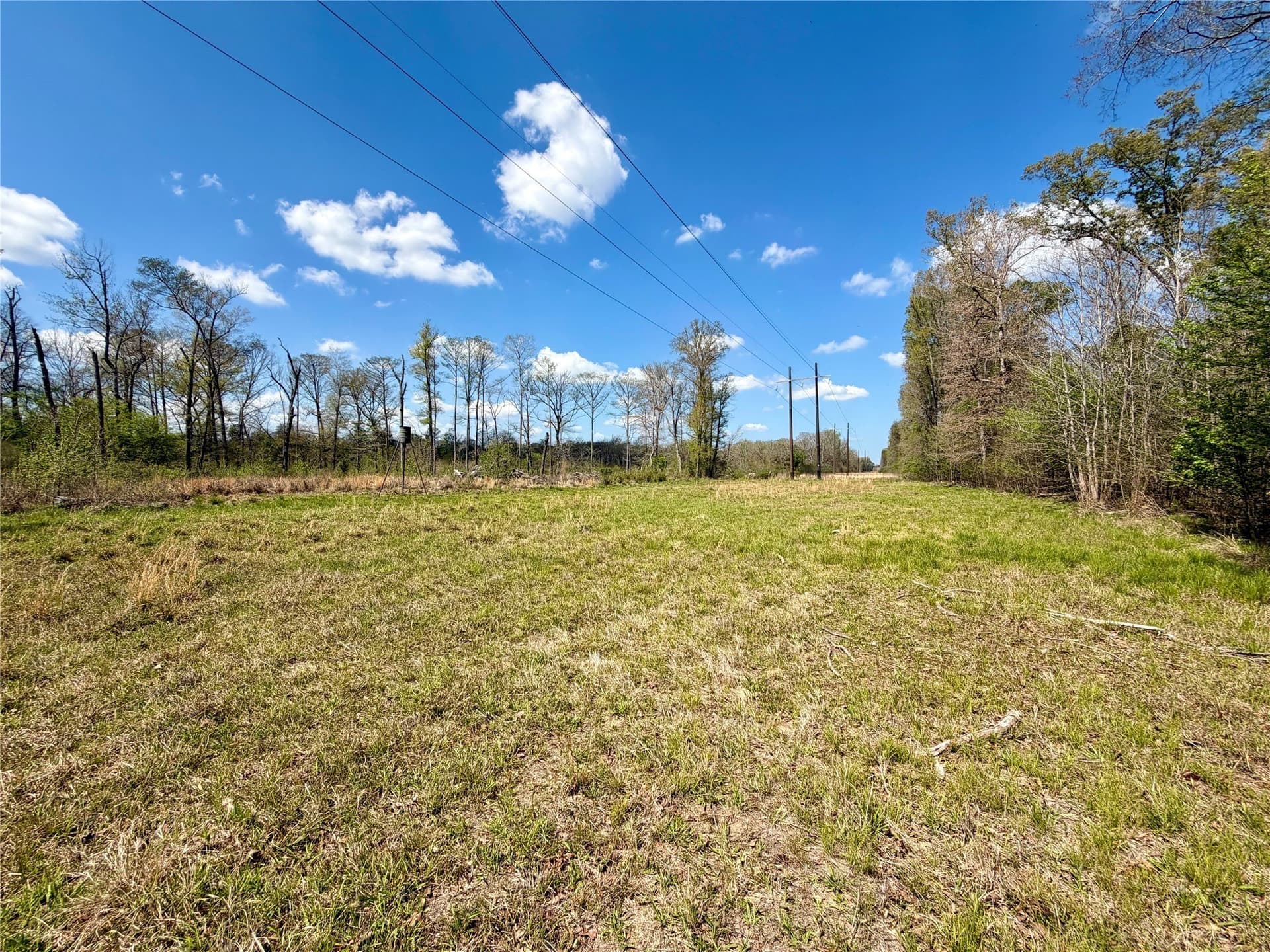 159.7 acres in Harrison County - photo 34