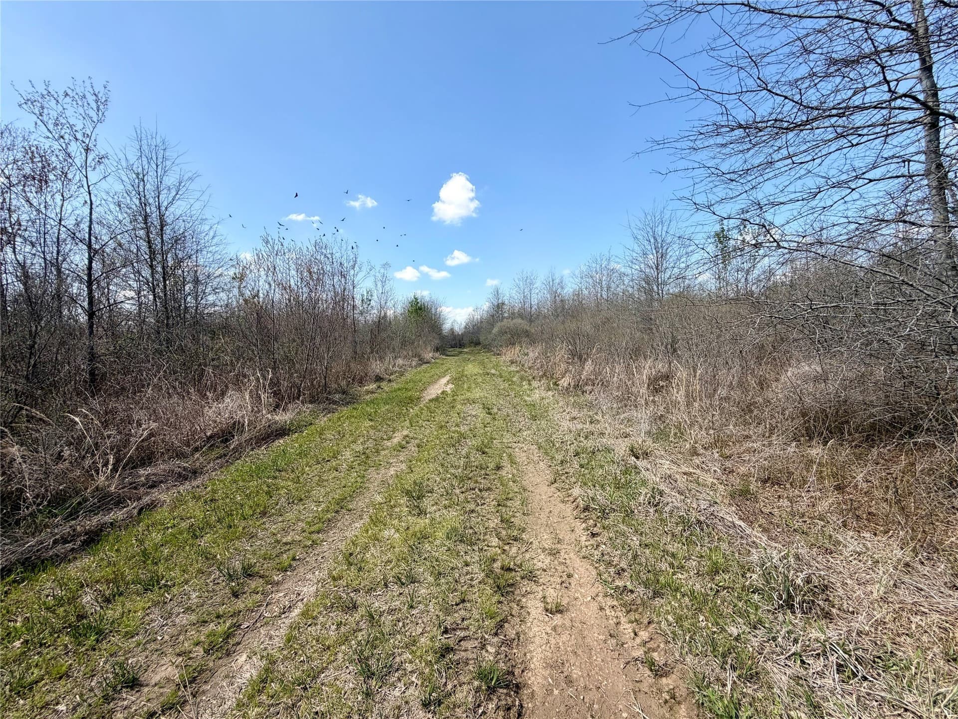 159.7 acres in Harrison County - photo 24