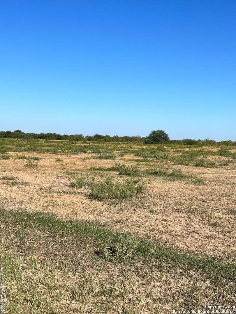 7 acres in Bexar County gallery image 4
