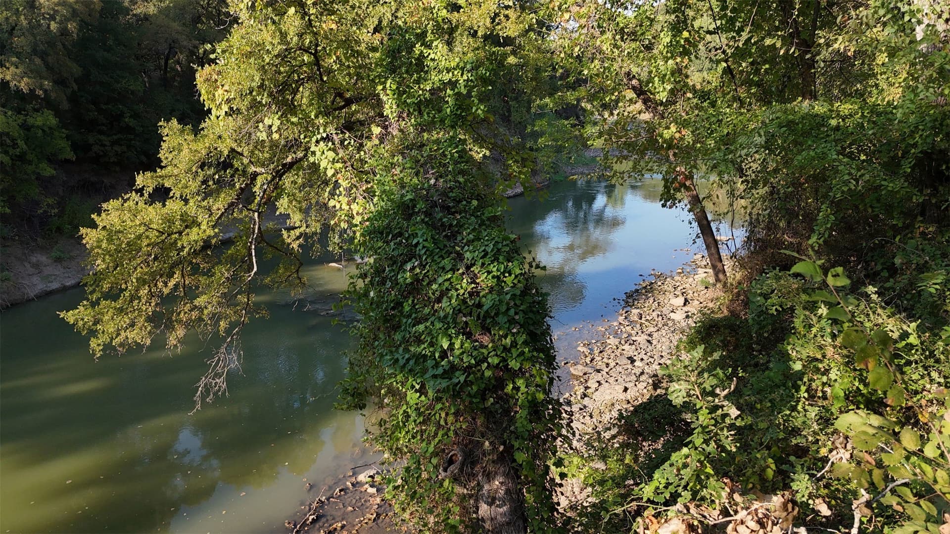 16.79 acres in Tarrant County - photo 13