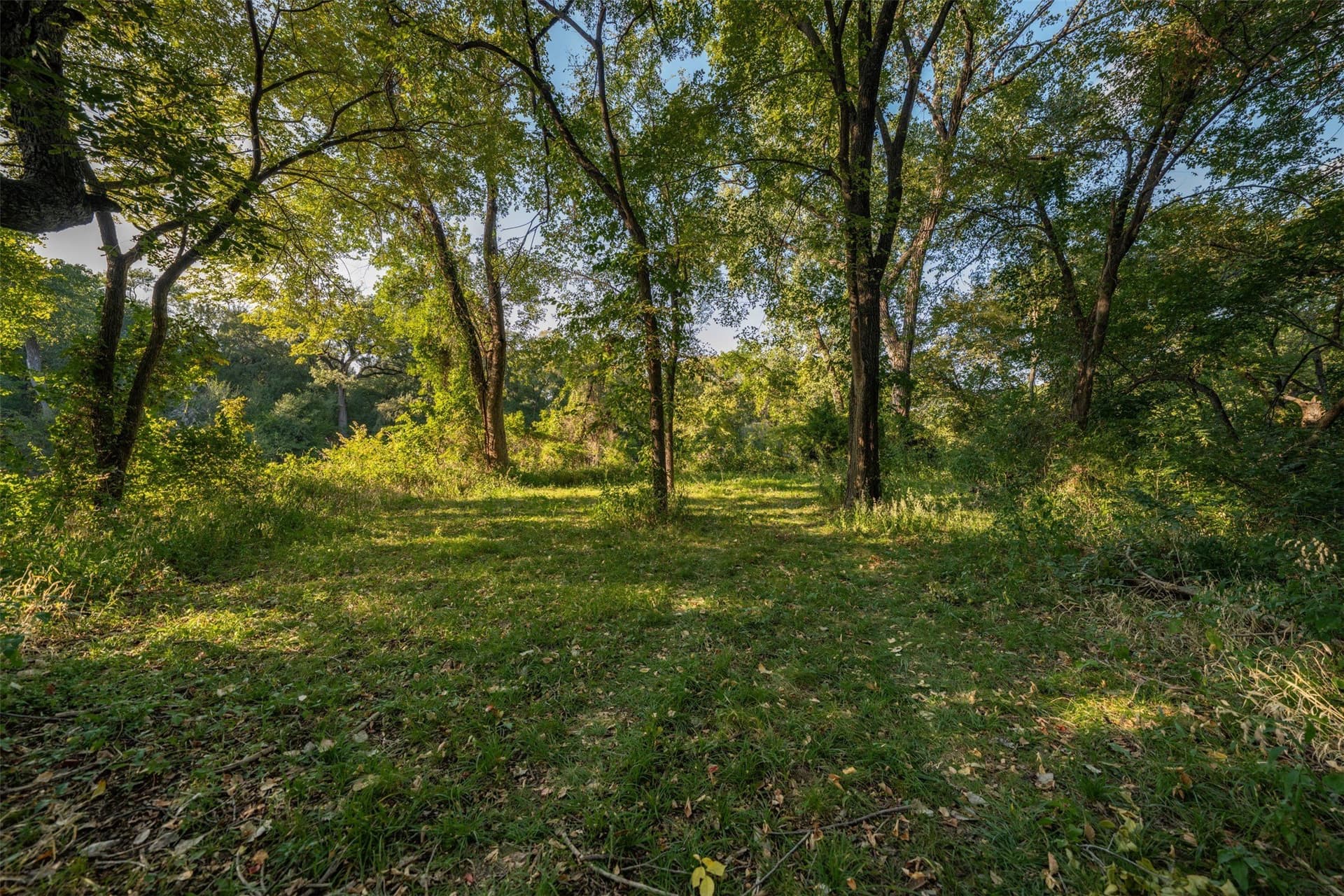 16.79 acres in Tarrant County - photo 32