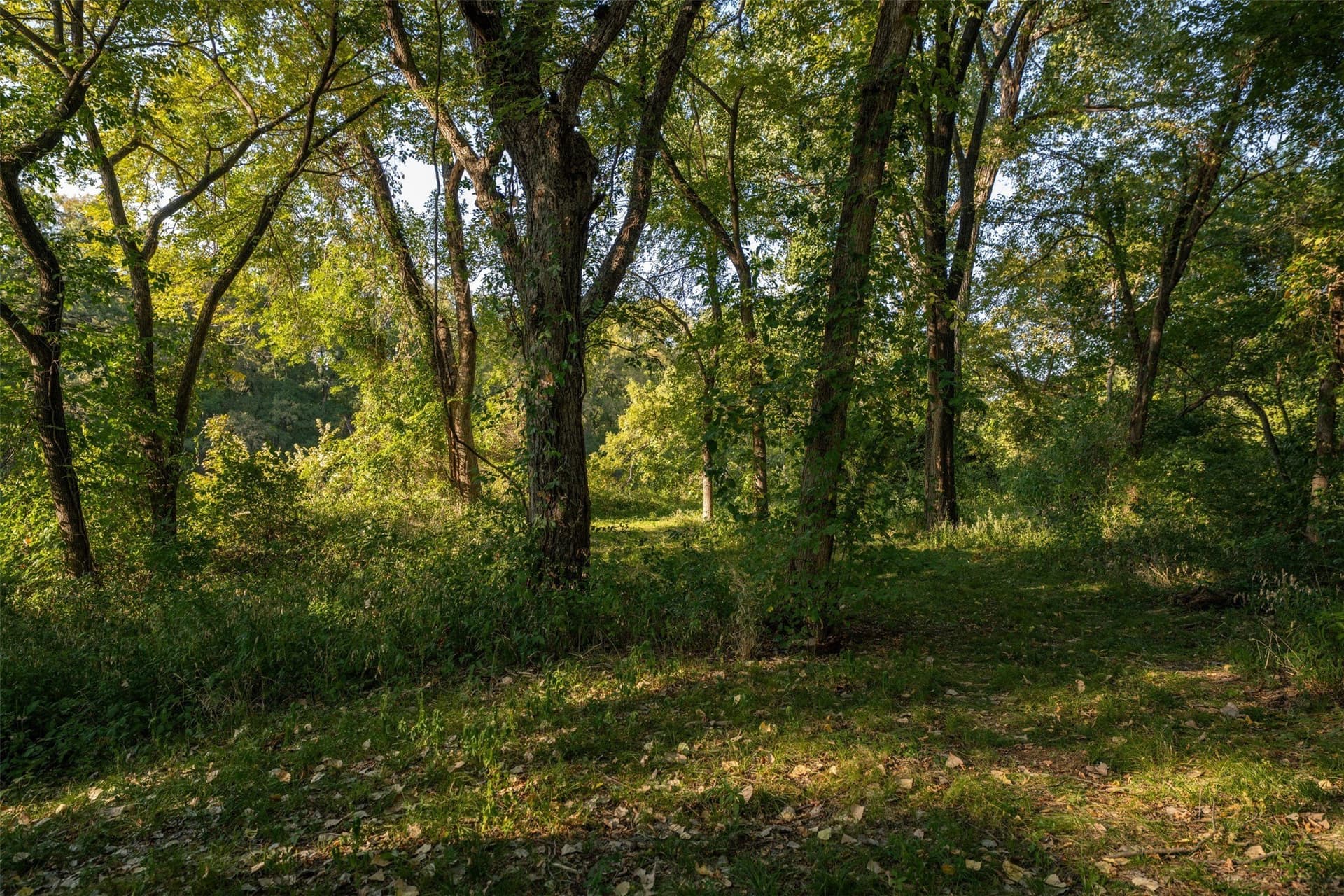 16.79 acres in Tarrant County - photo 31