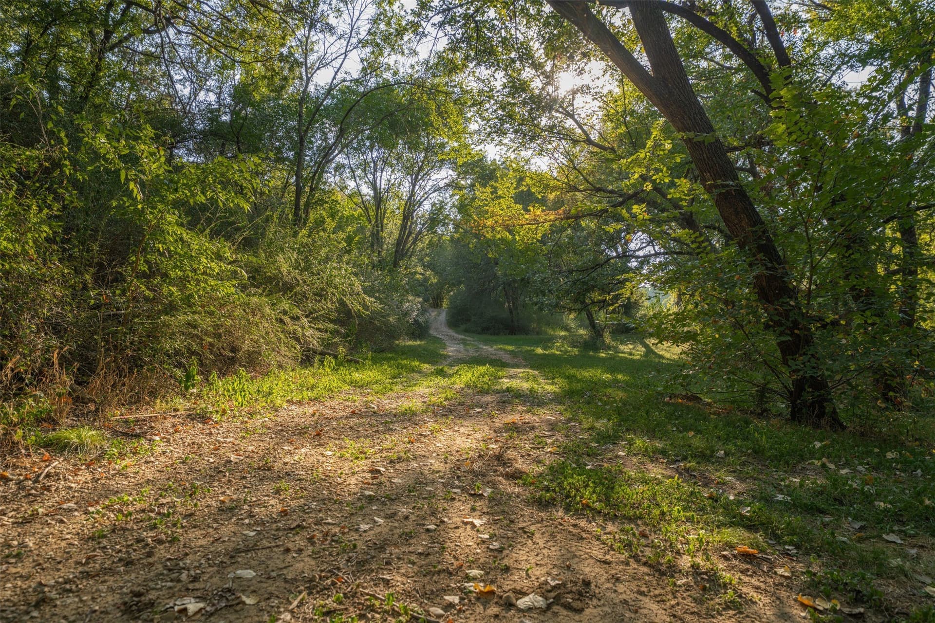 16.79 acres in Tarrant County - photo 29