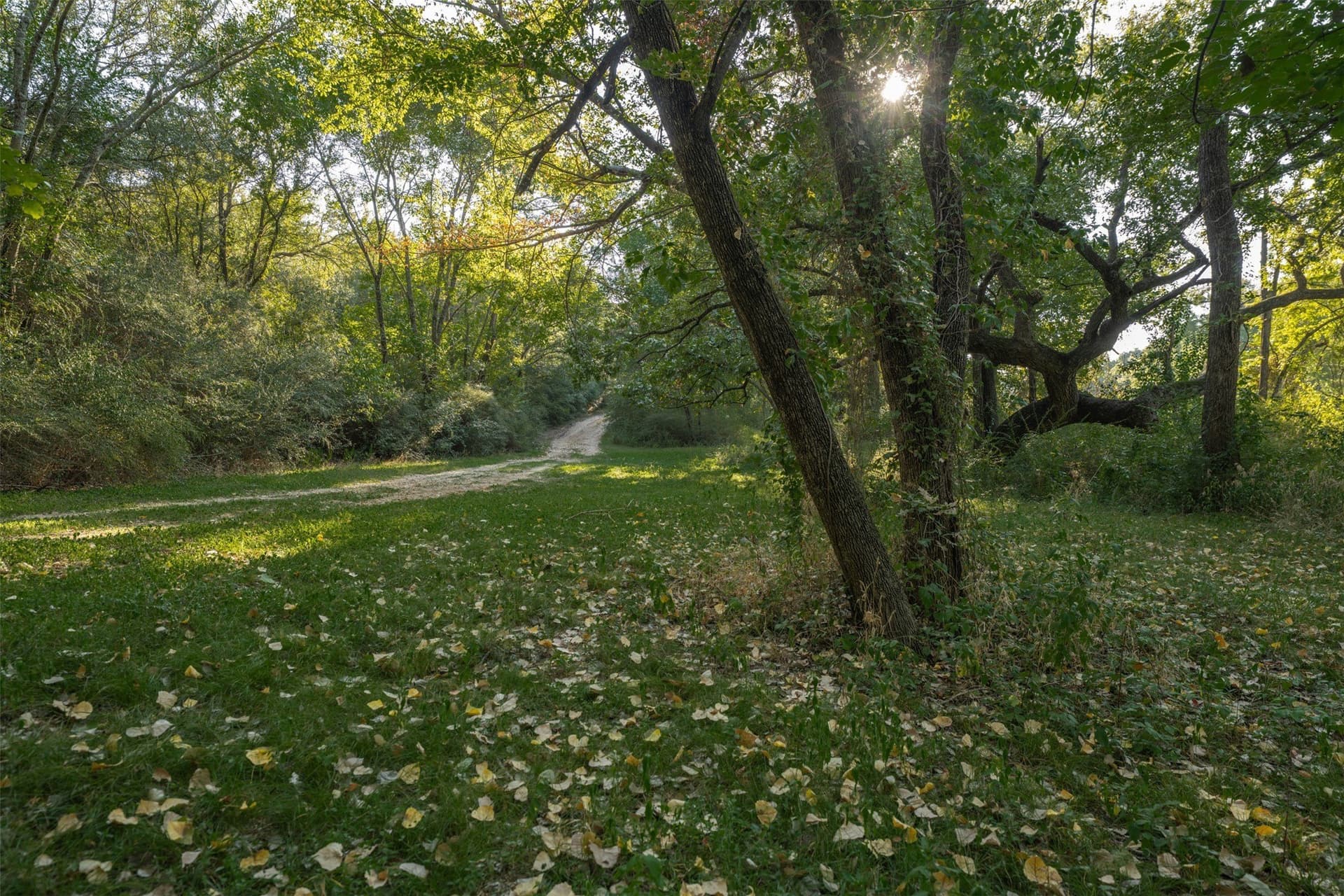 16.79 acres in Tarrant County - photo 27
