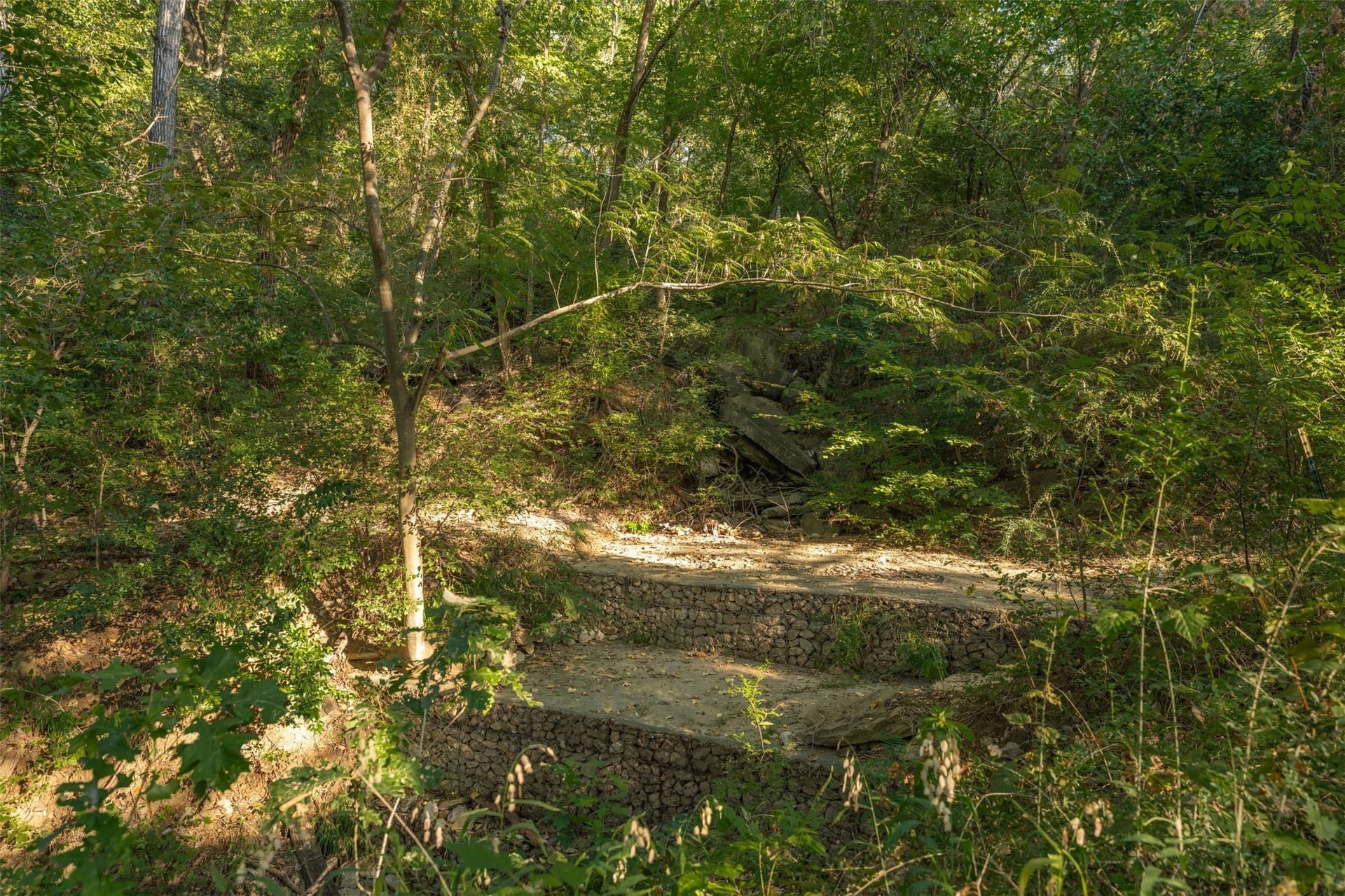 16.79 acres in Tarrant County - photo 28