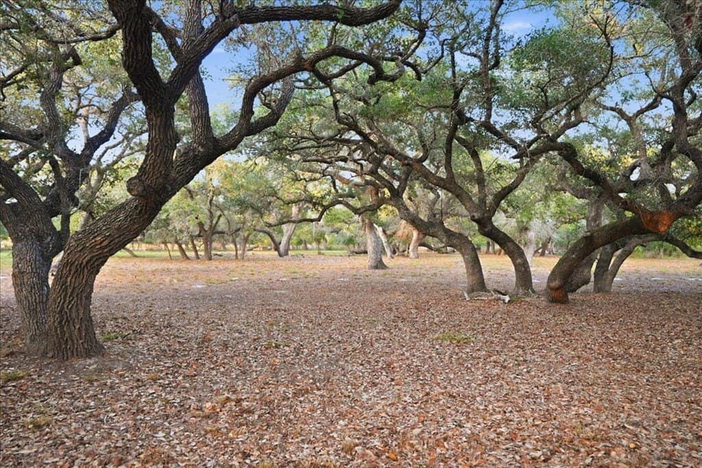 4.08 acres in Texas County - photo 2