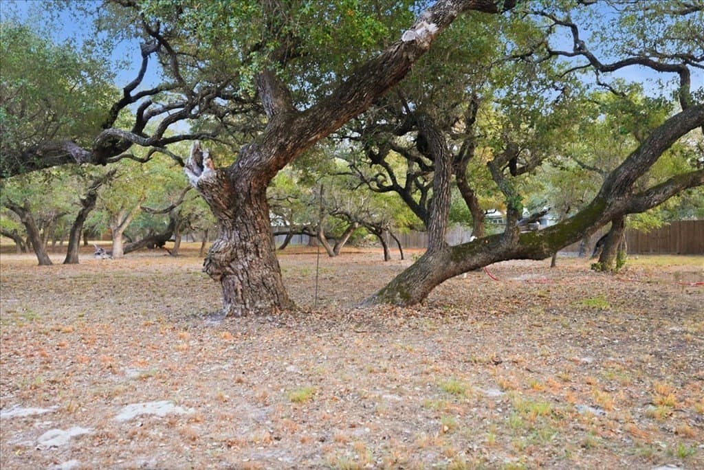 4.08 acres in Texas County - photo 31
