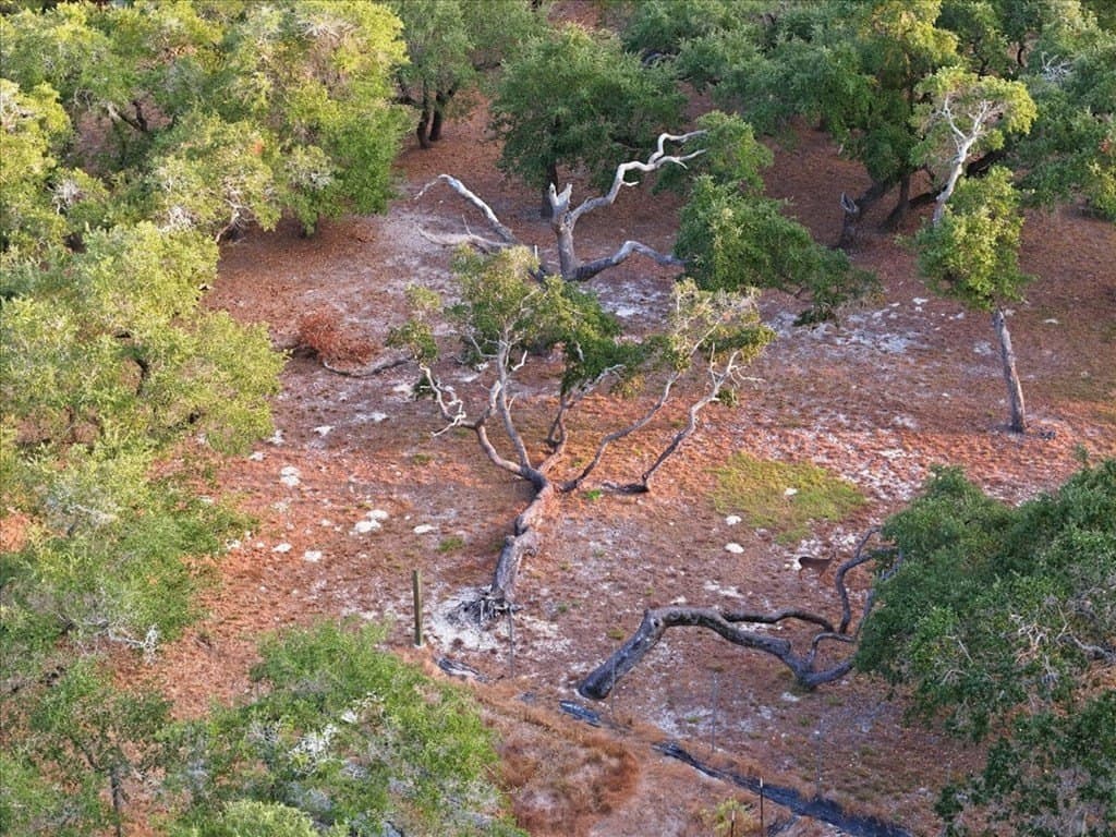 4.08 acres in Texas County - photo 15