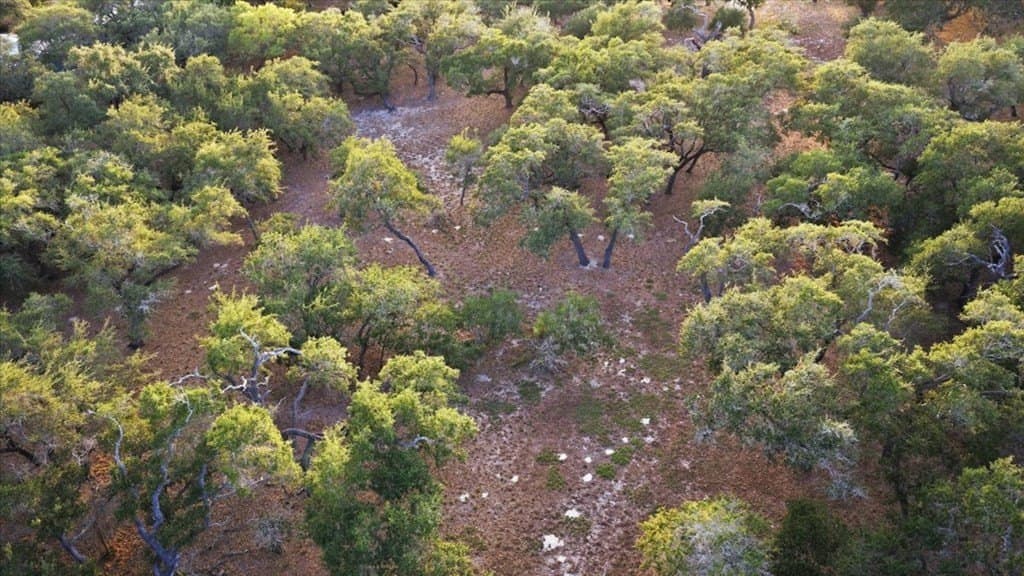 4.08 acres in Texas County - photo 16