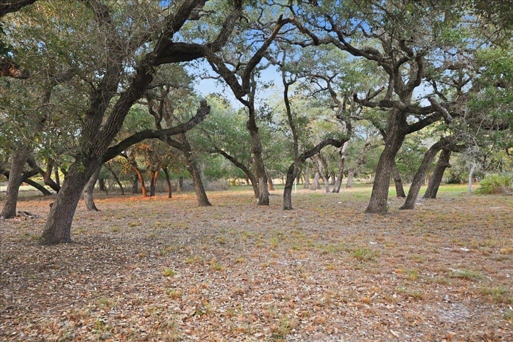 4.08 acres in Texas County - photo 34