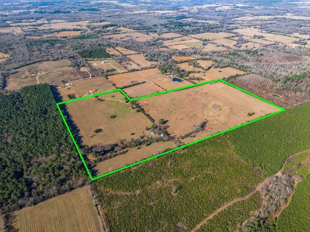 94.14 acres in Wood County - photo 7