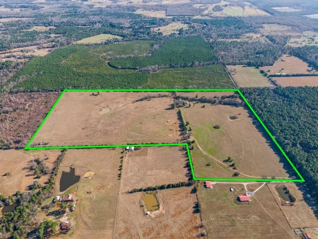 94.14 acres in Wood County - photo 2