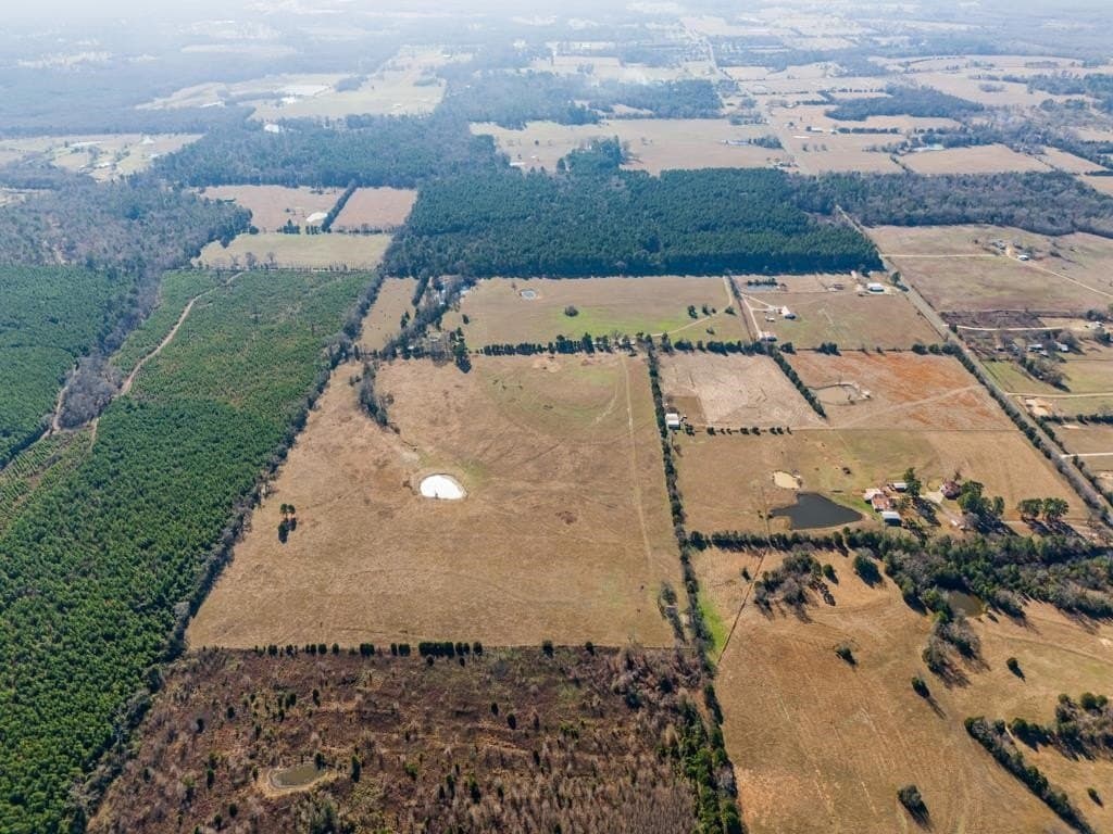 94.14 acres in Wood County - photo 4