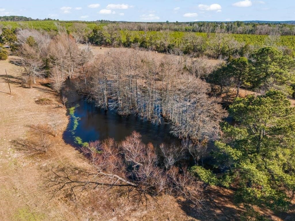 94.14 acres in Wood County - photo 31