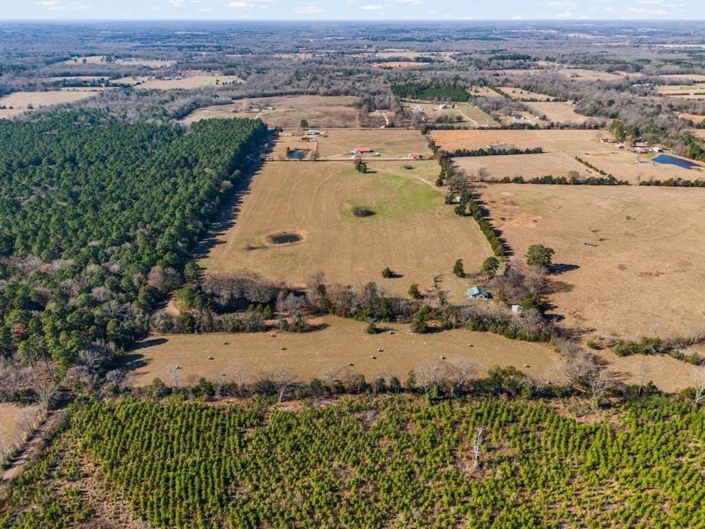 94.14 acres in Wood County - photo 34