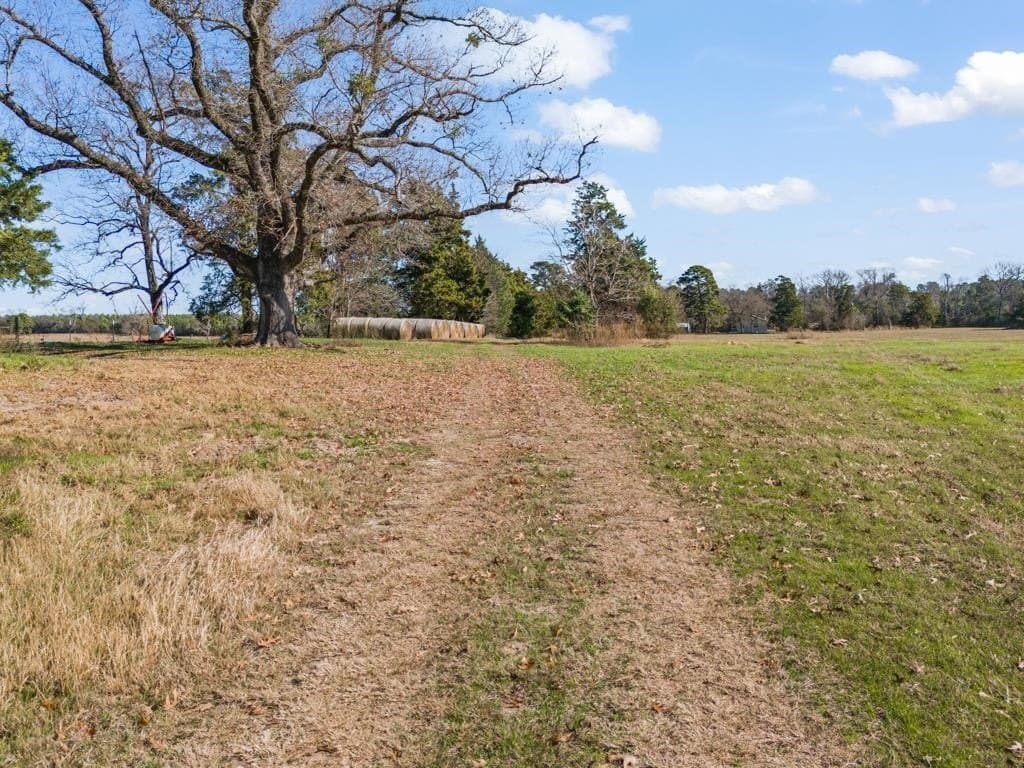 94.14 acres in Wood County - photo 43