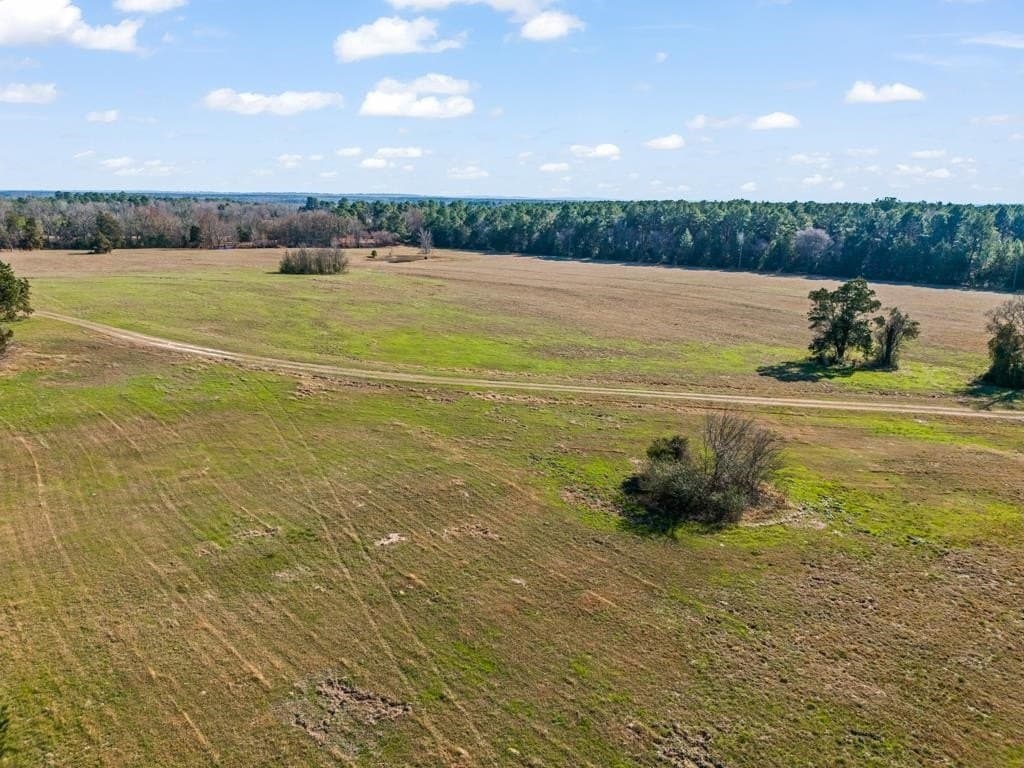 94.14 acres in Wood County - photo 46