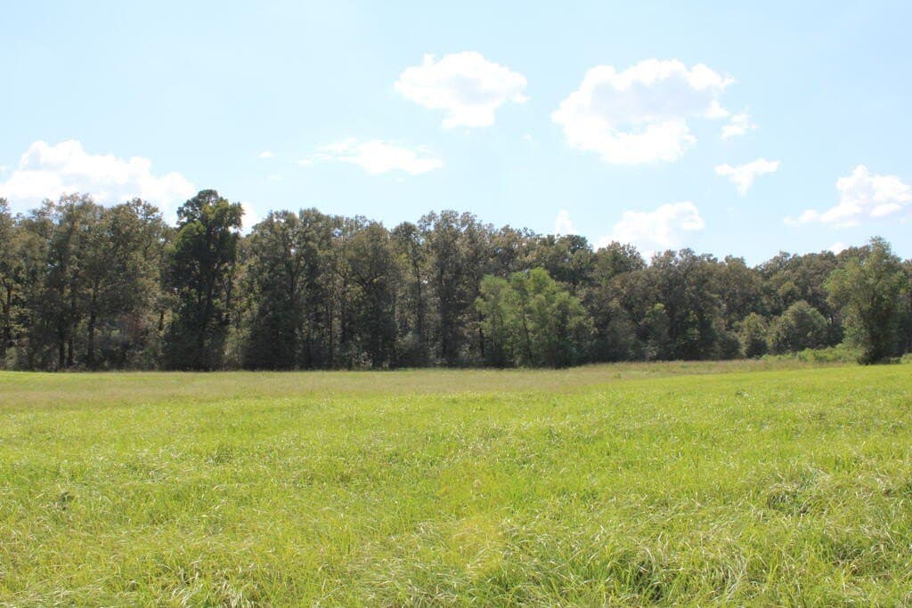 30 acres in Texas County