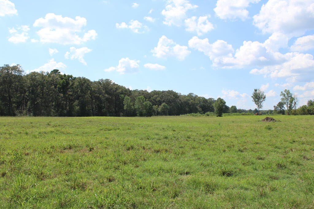 30 acres in Texas County - photo 3