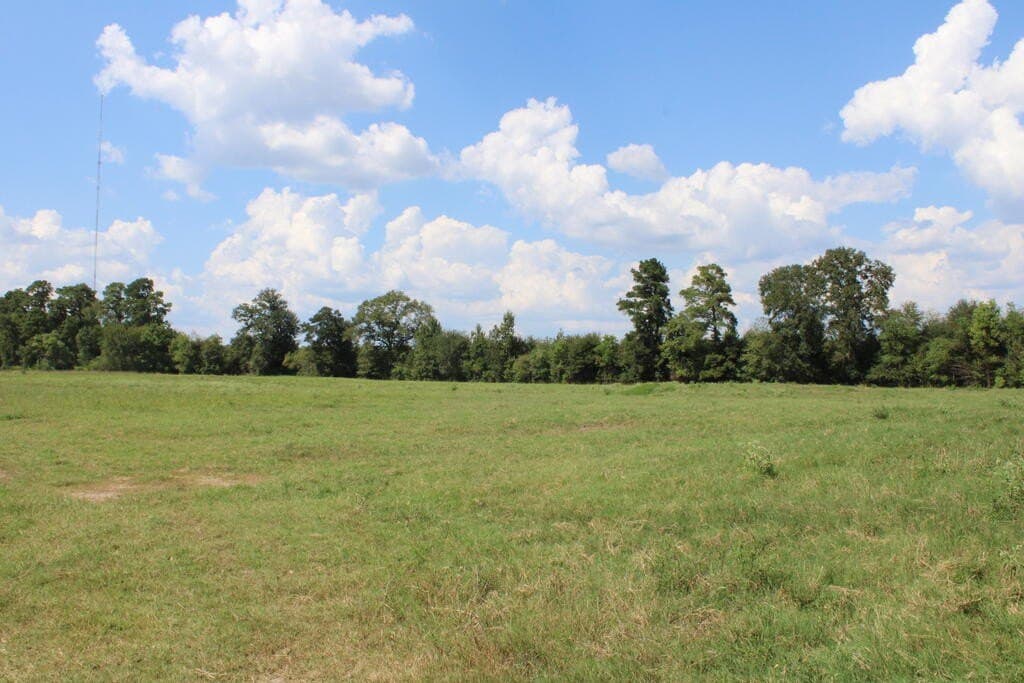 30 acres in Texas County - photo 4