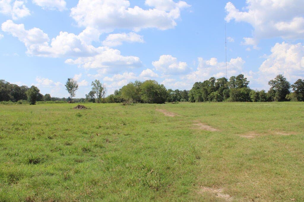 30 acres in Texas County - photo 2