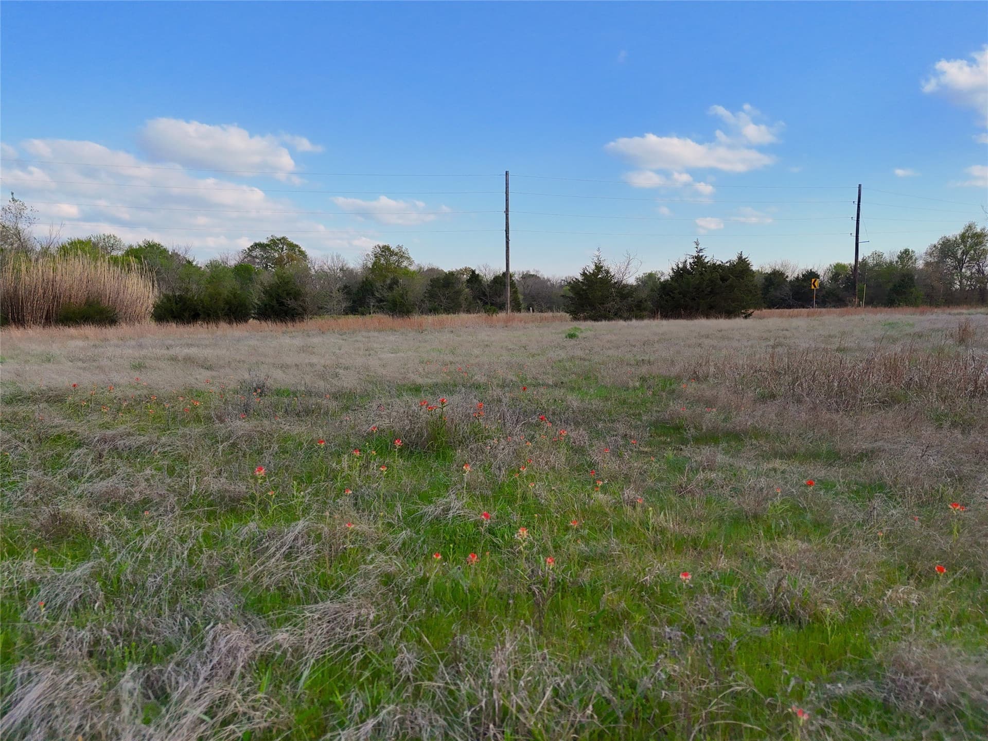2.29 acres in Hunt County - photo 9
