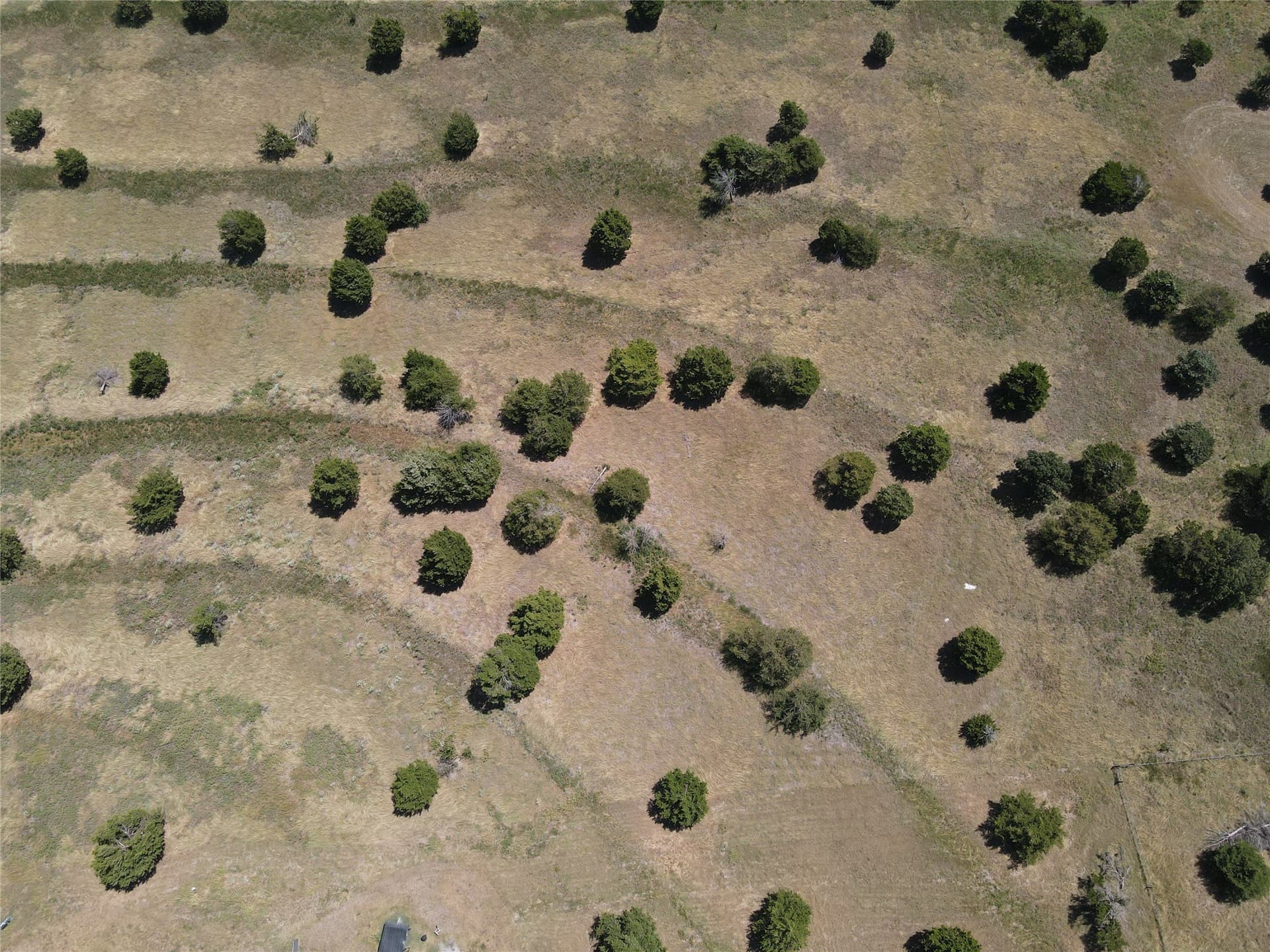 11 acres in Grayson County - photo 17