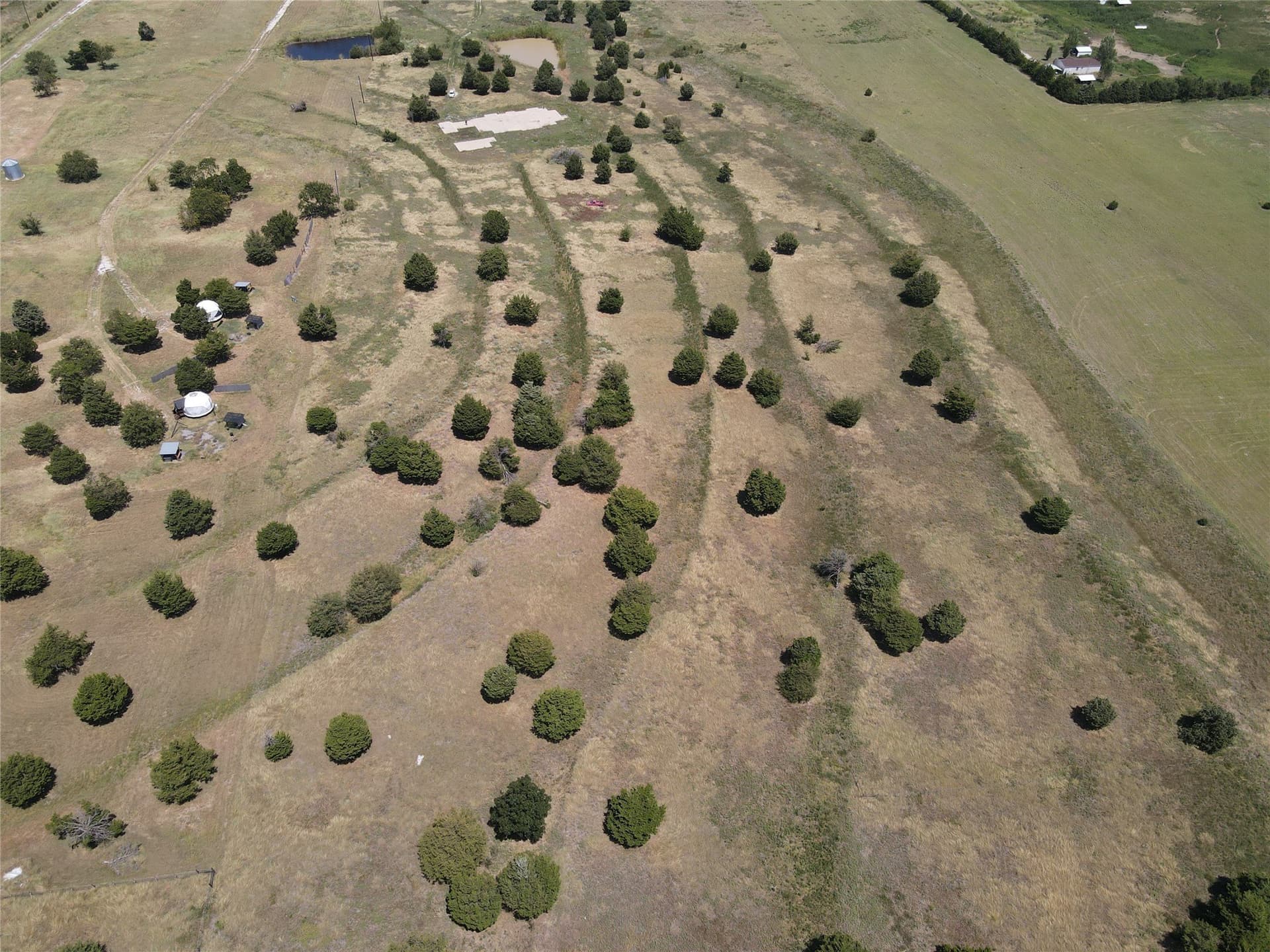 11 acres in Grayson County - photo 19