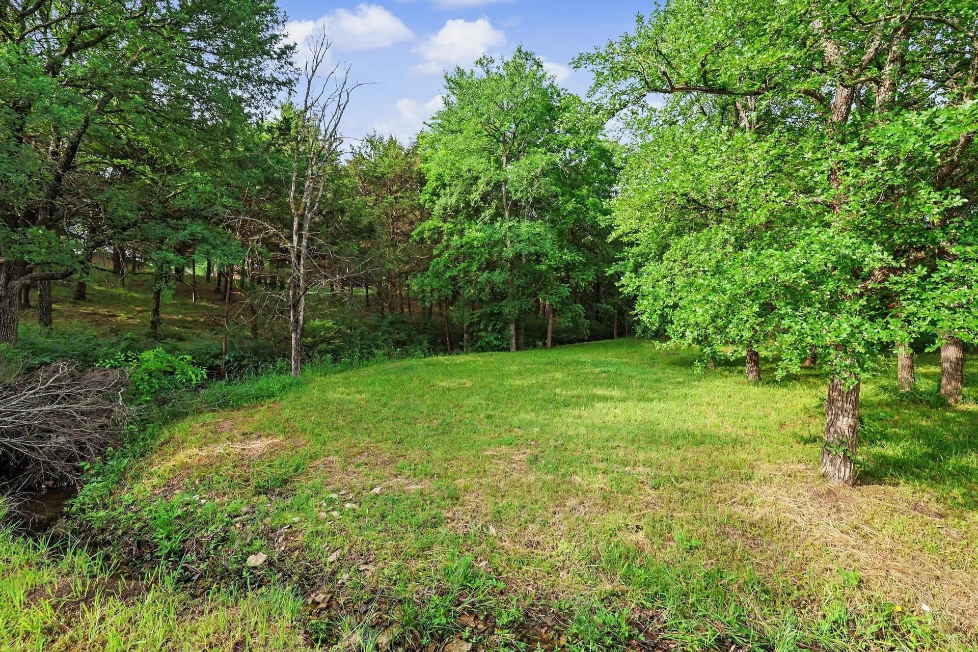 0.84 acres in Grayson County gallery image 2