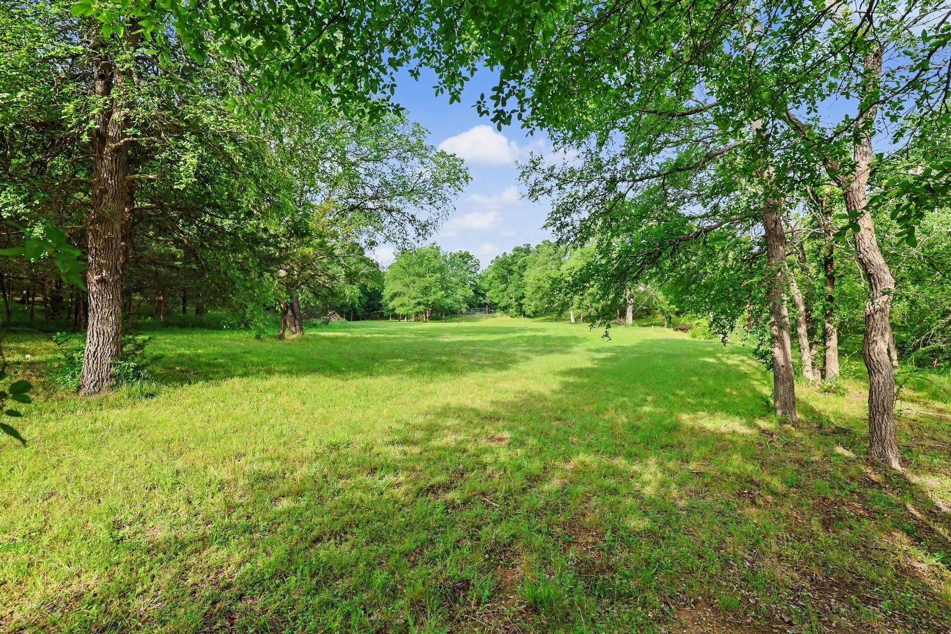 0.84 acres in Grayson County gallery image 4