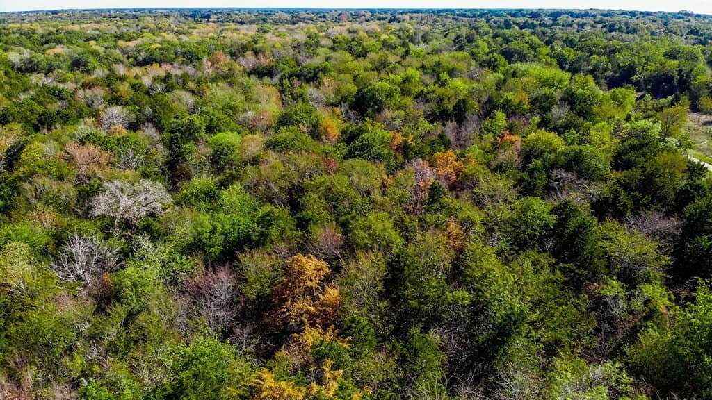 6.2 acres in Navarro County gallery image 4