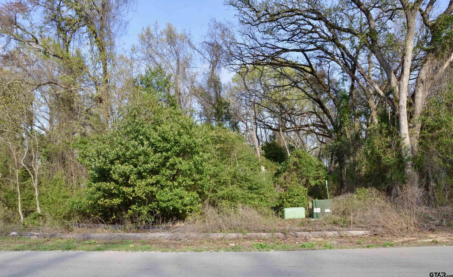 0.53 acres in Wood County - photo 6