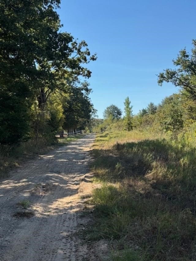 64 acres in VAN ZANDT County gallery image 3