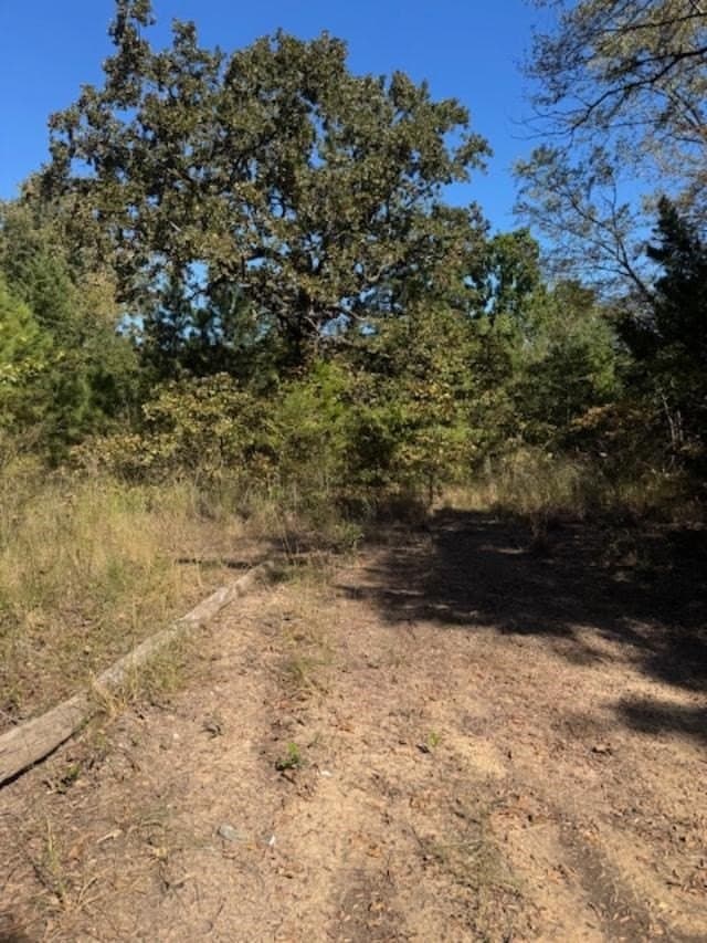 64 acres in VAN ZANDT County gallery image 4