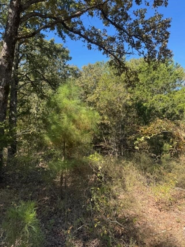 64 acres in VAN ZANDT County featured view