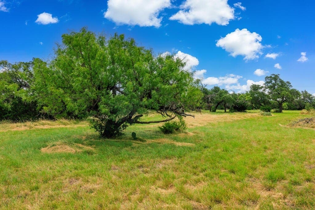 14 acres in Gillespie County - photo 7