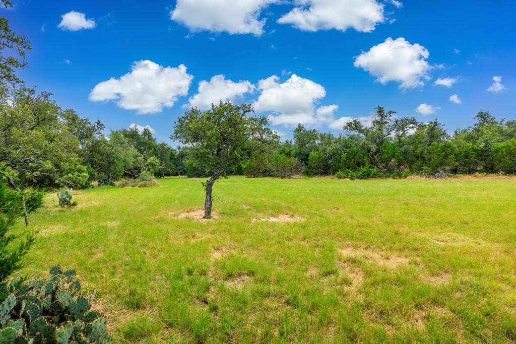 14 acres in Gillespie County - photo 5