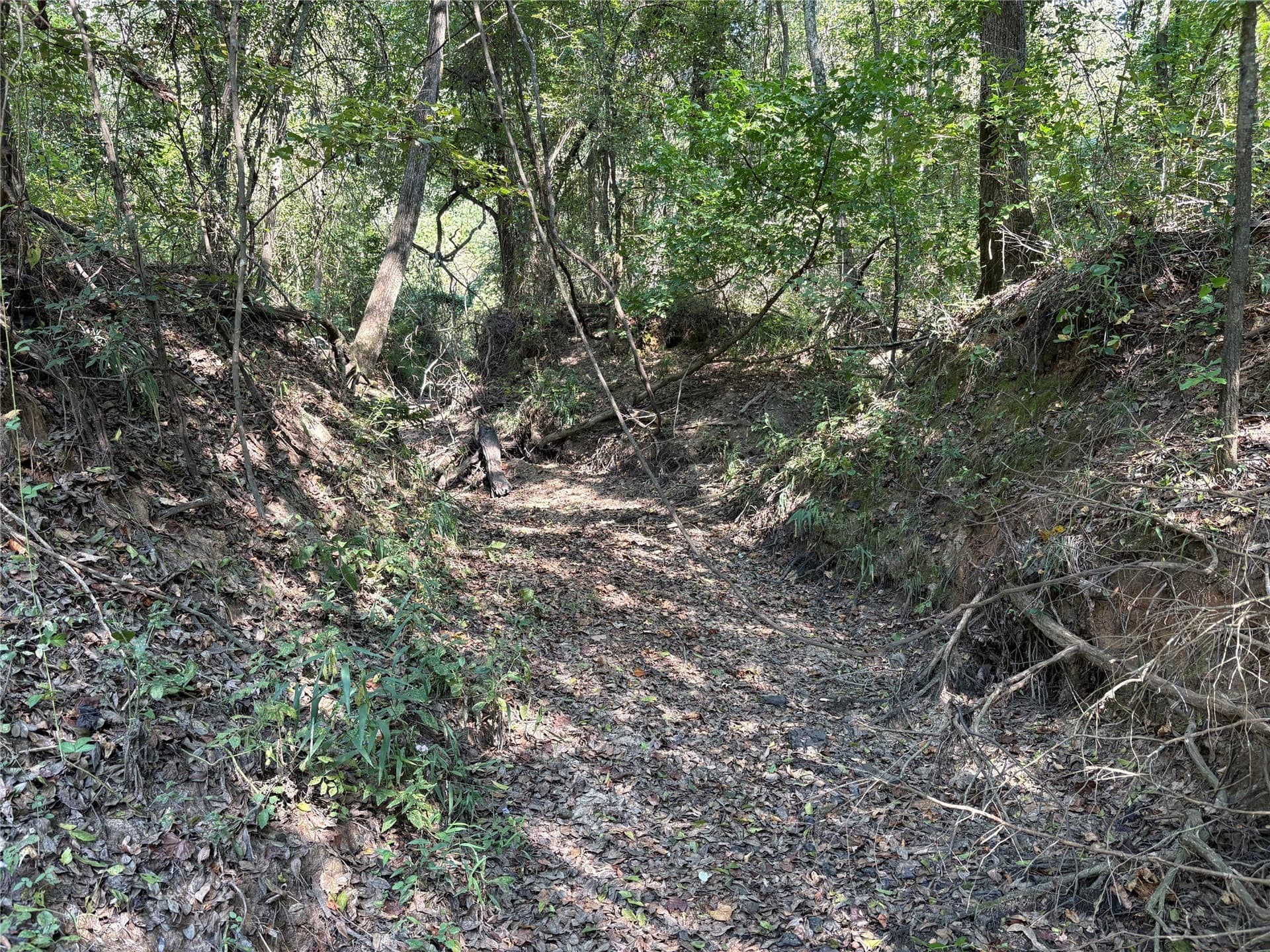 42.18 acres in Wood County - photo 5