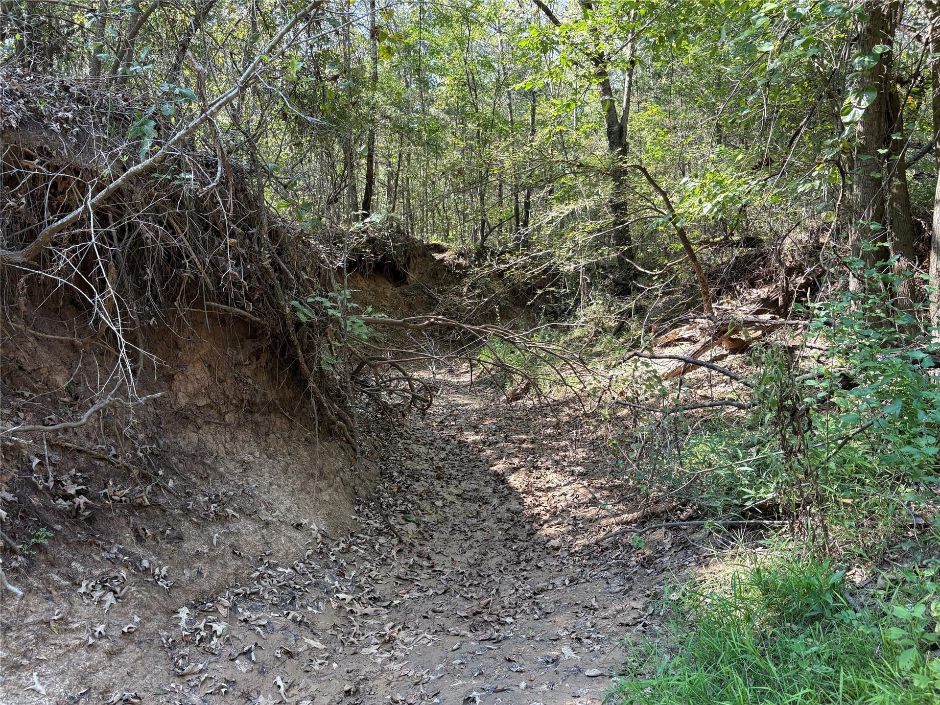 42.18 acres in Wood County - photo 4