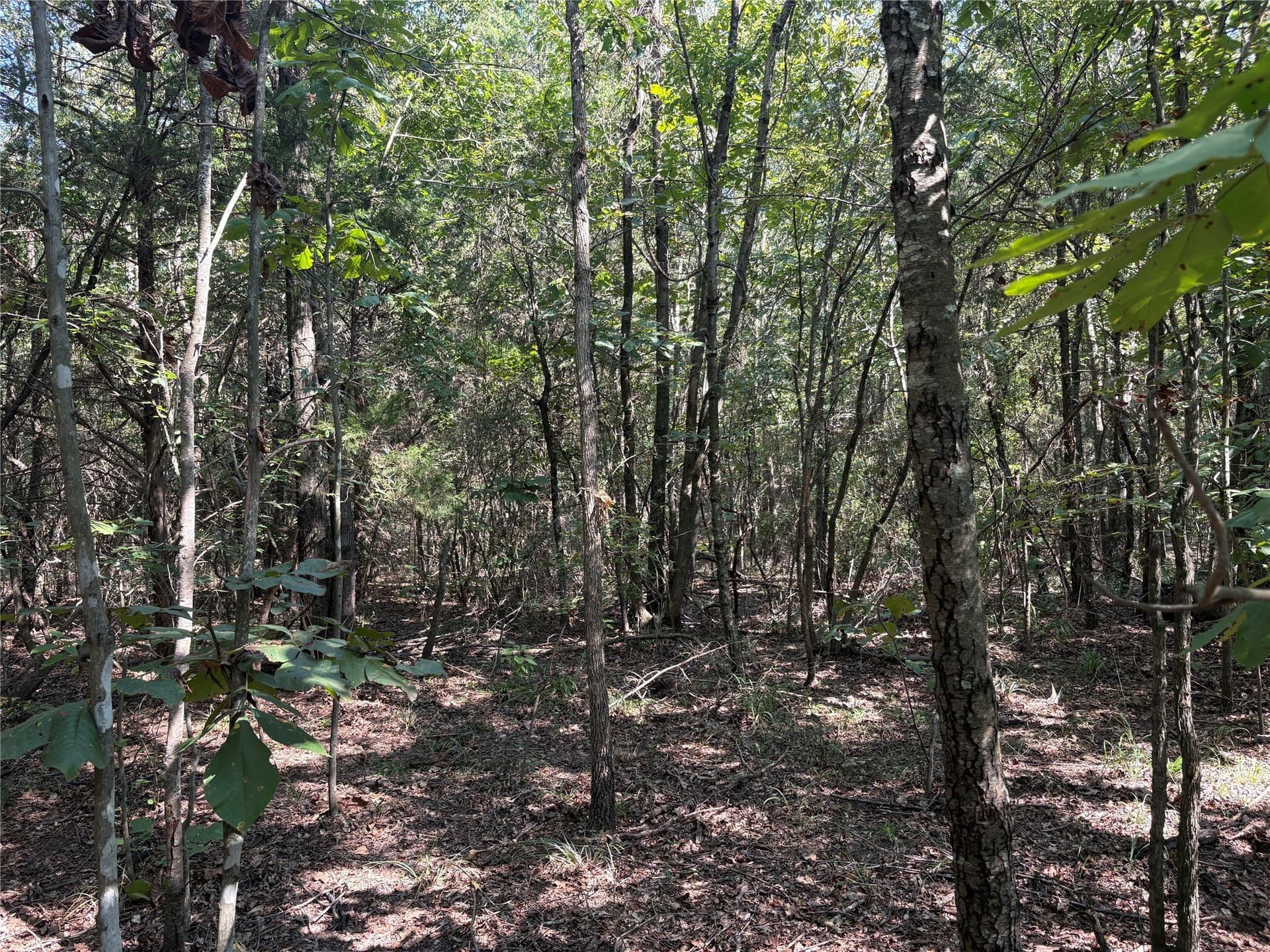 42.18 acres in Wood County - photo 8