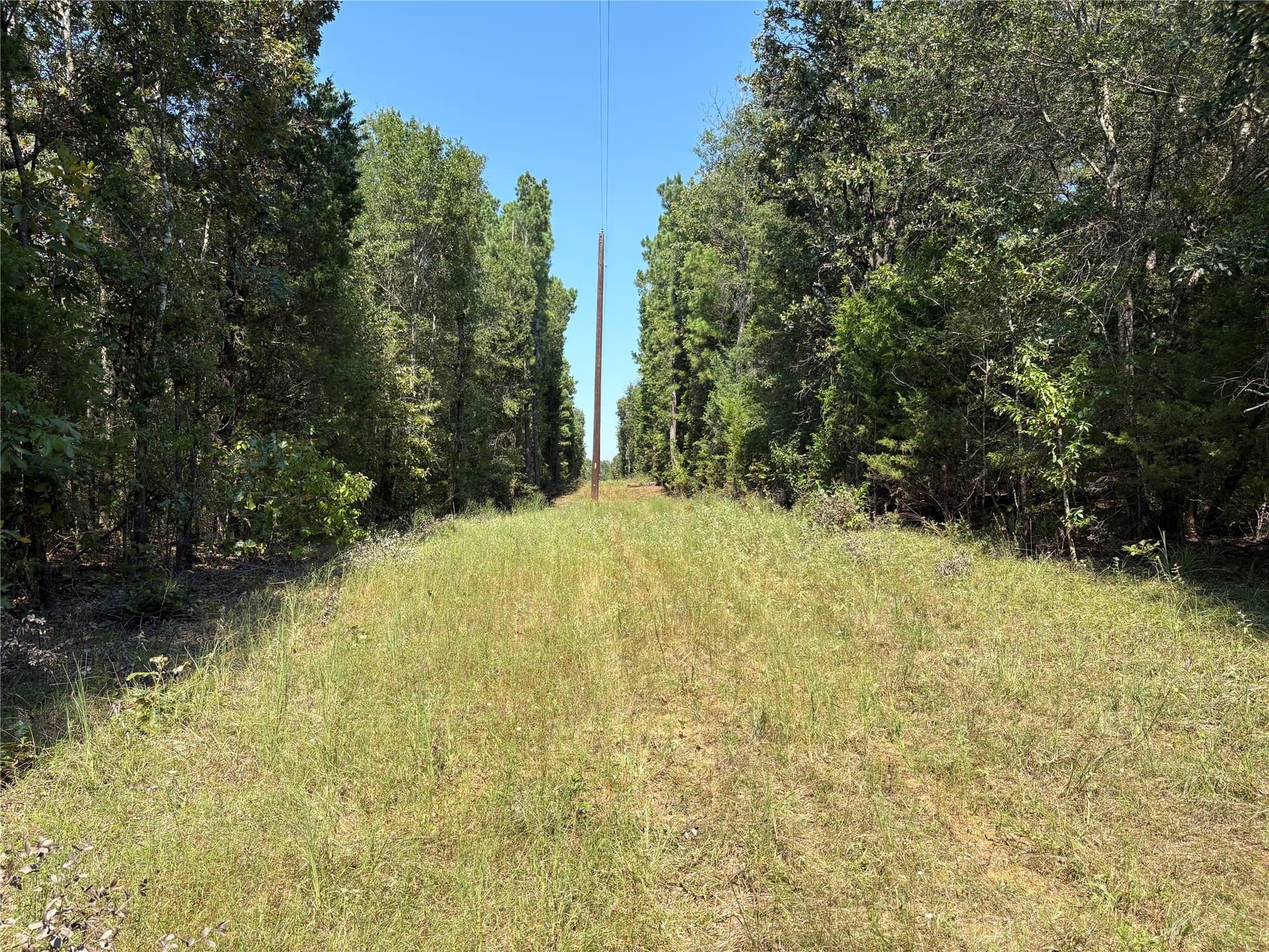 42.18 acres in Wood County - photo 3