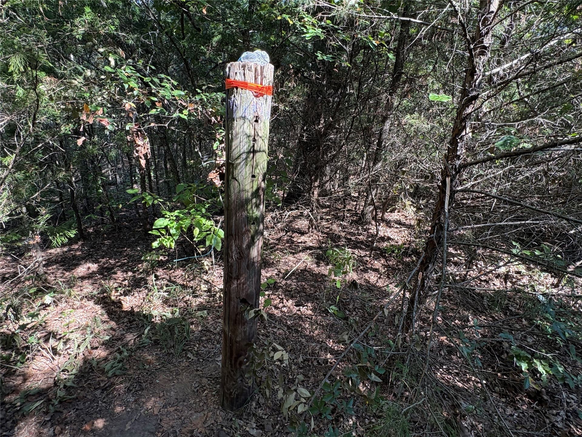 42.18 acres in Wood County - photo 13