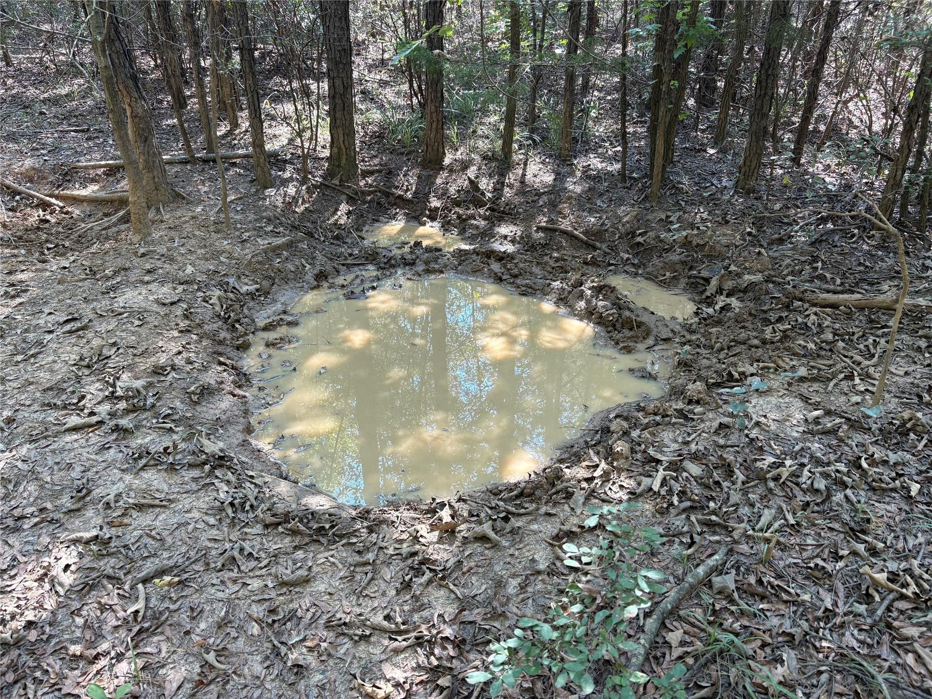 42.18 acres in Wood County - photo 11