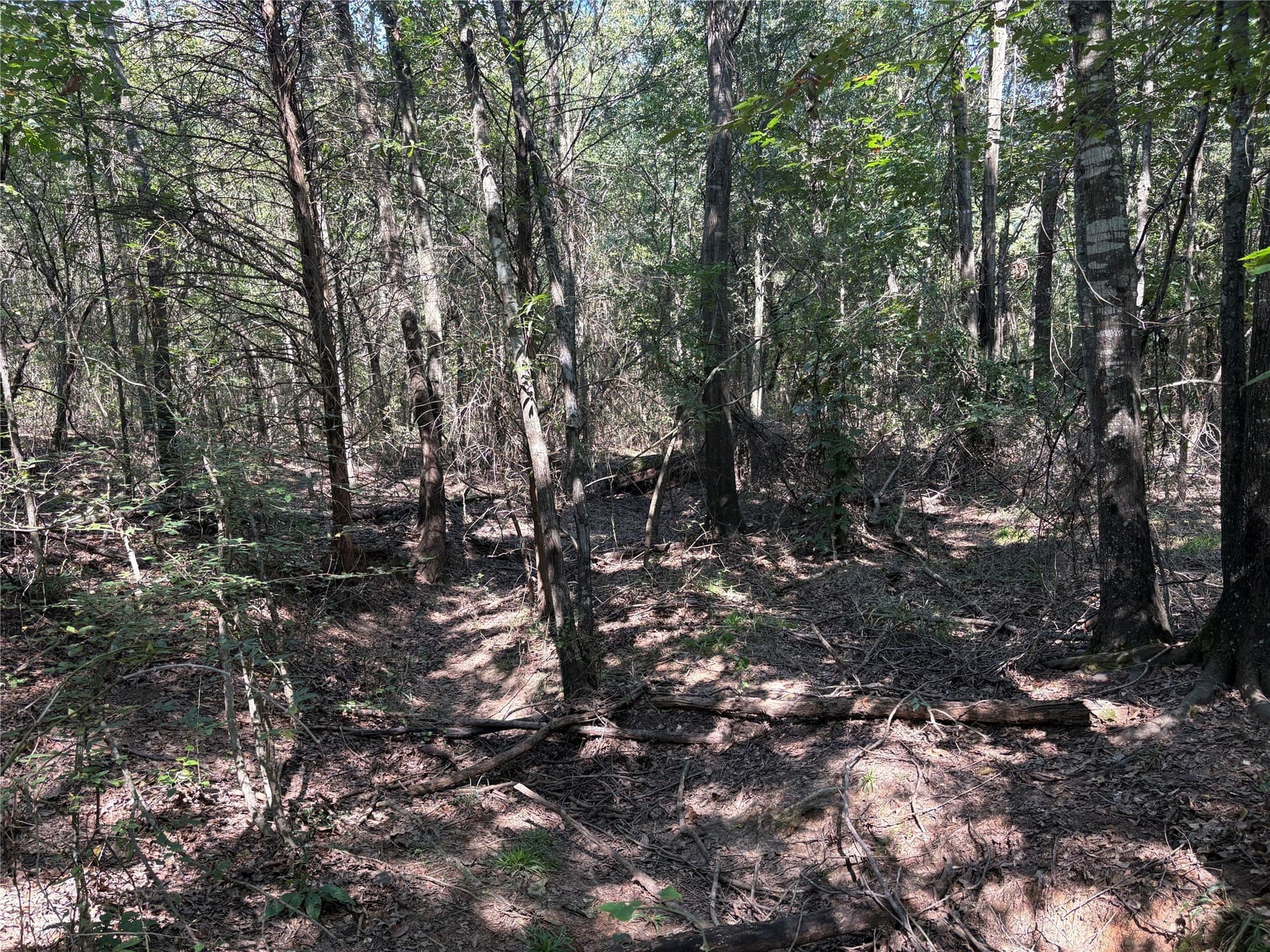 42.18 acres in Wood County - photo 6