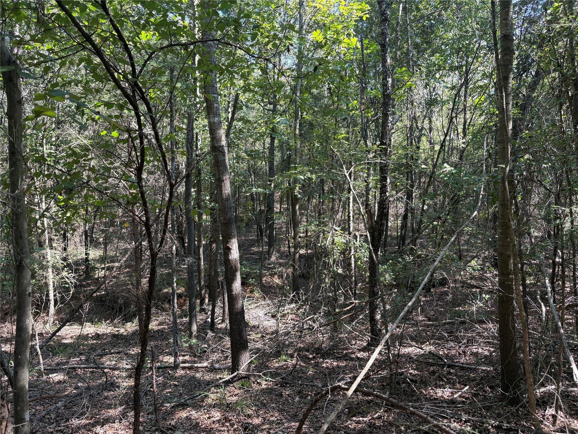 42.18 acres in Wood County - photo 7