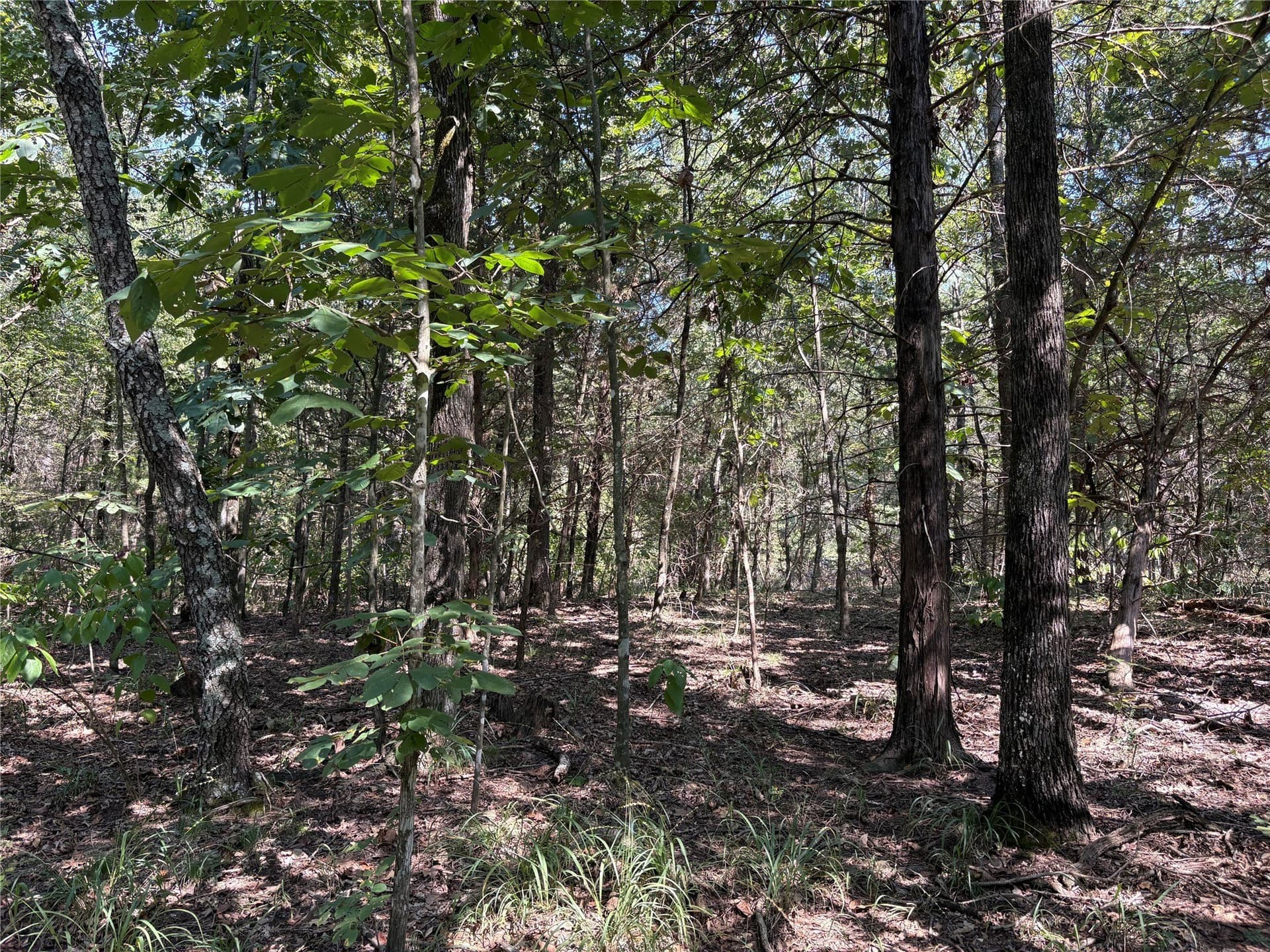 42.18 acres in Wood County - photo 10