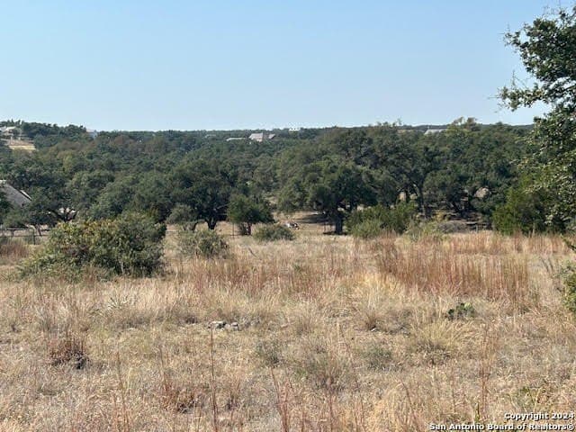 0.46 acres in Blanco County - photo 2